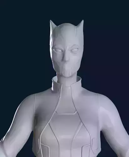 High poly 3D Catwoman 3D model 