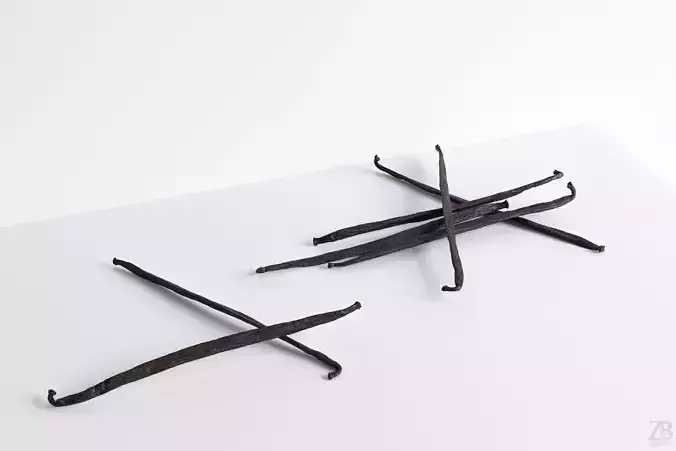 Vanilla 3D model
