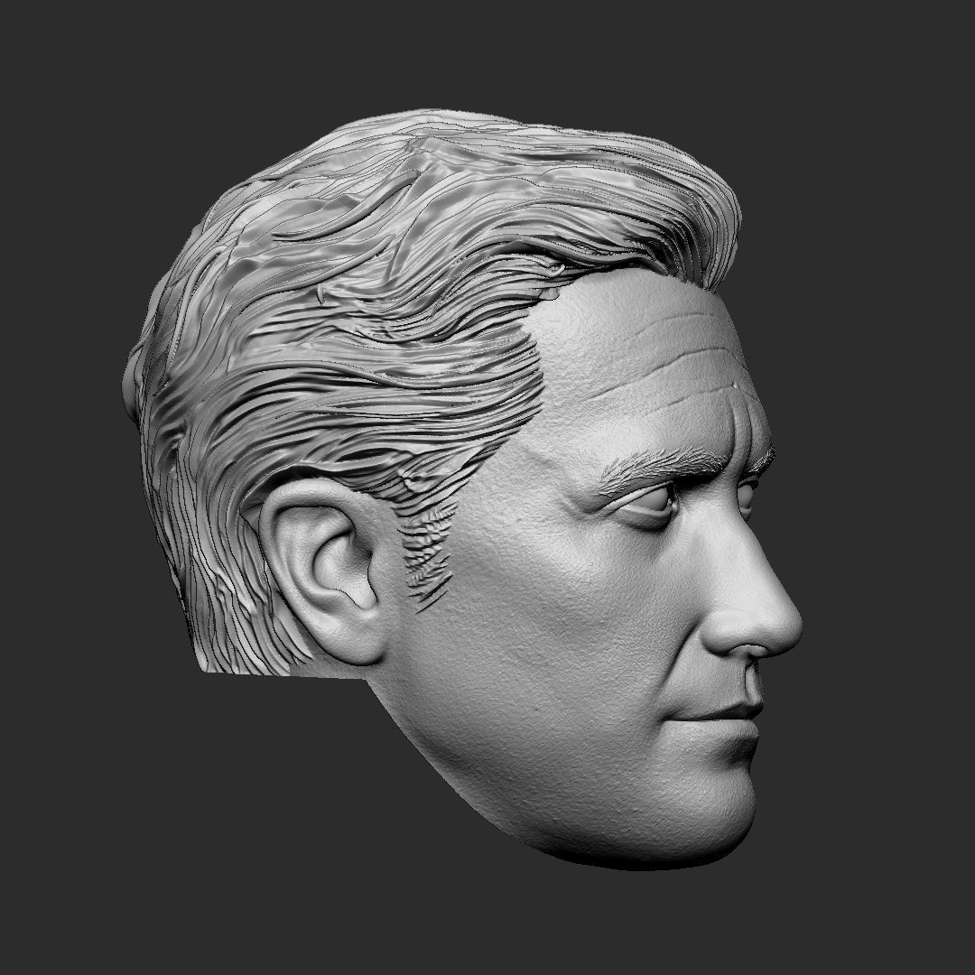 Jake Gyllenhaal head 3D print model_2
