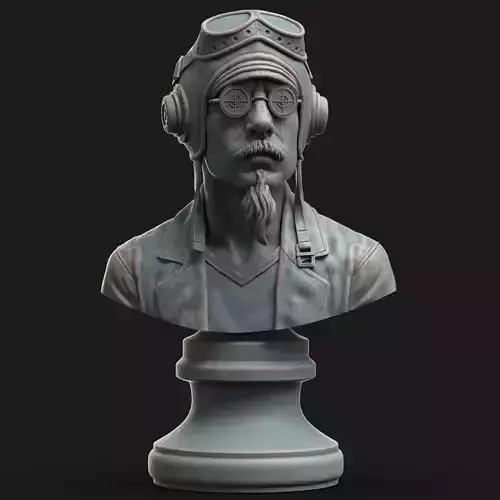 Pilot Bust 3D print model