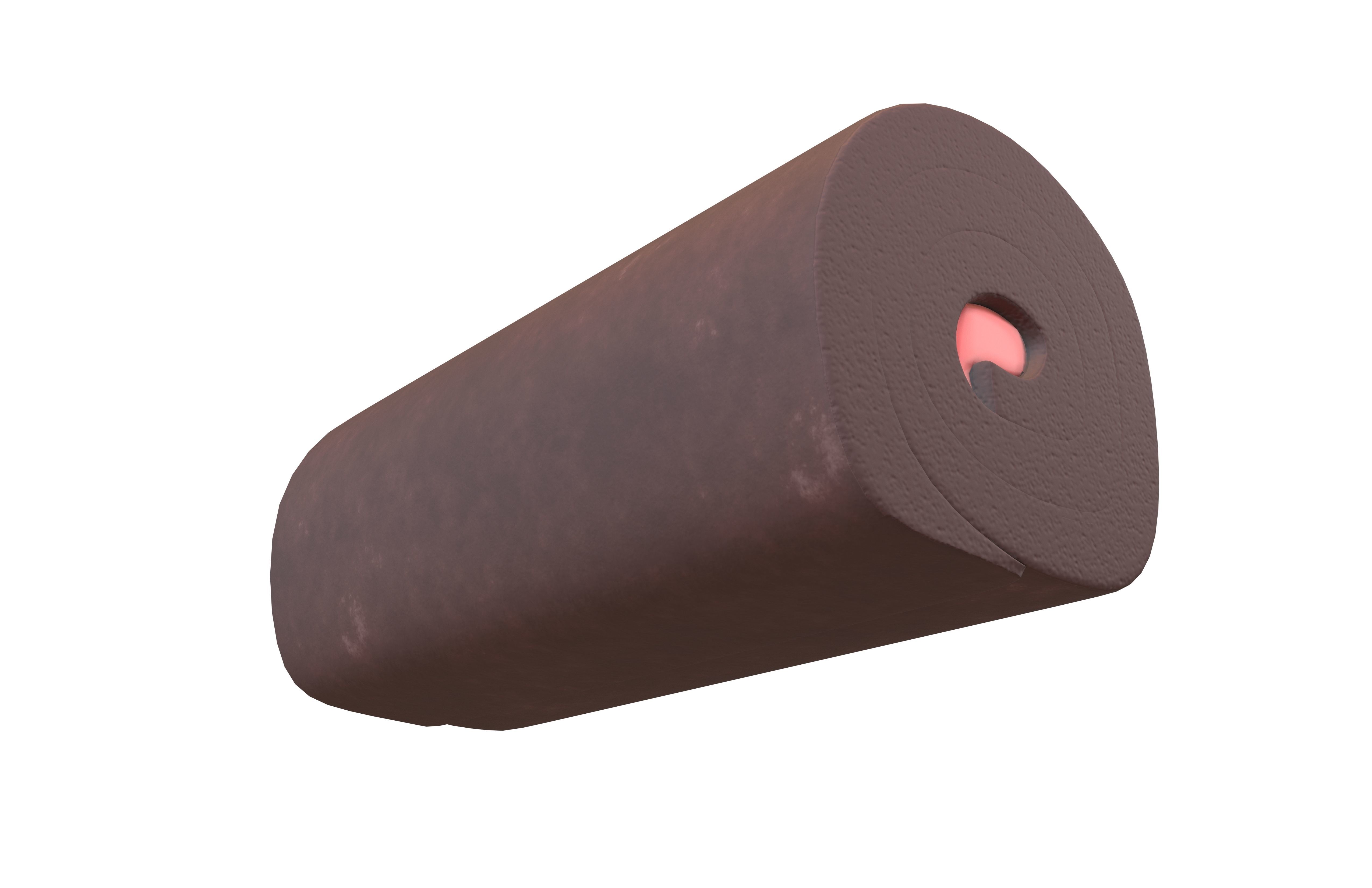 Swiss Roll v1 006 Low-poly 3D model_3