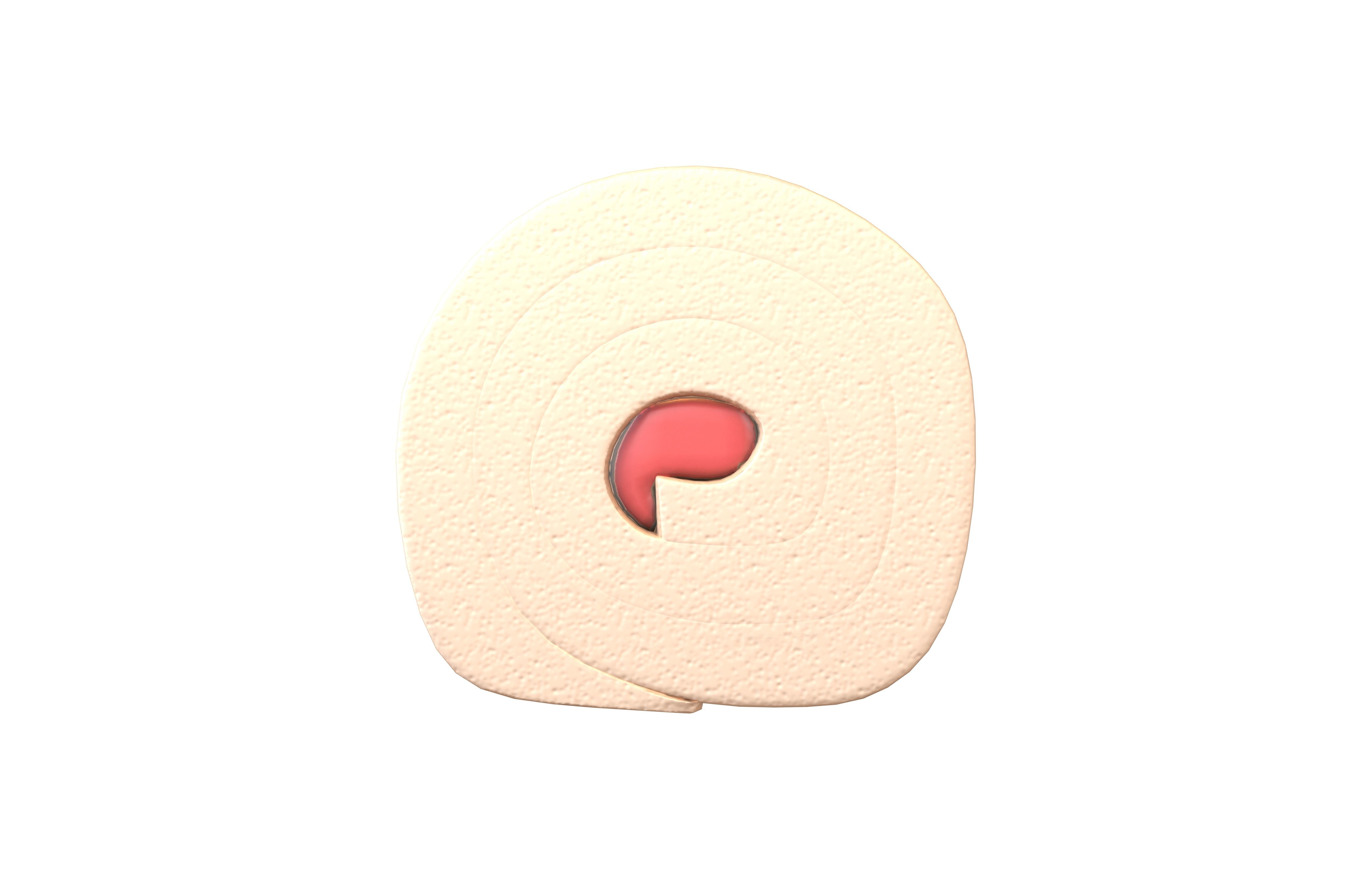 Swiss Roll v1 009 Low-poly 3D model_2