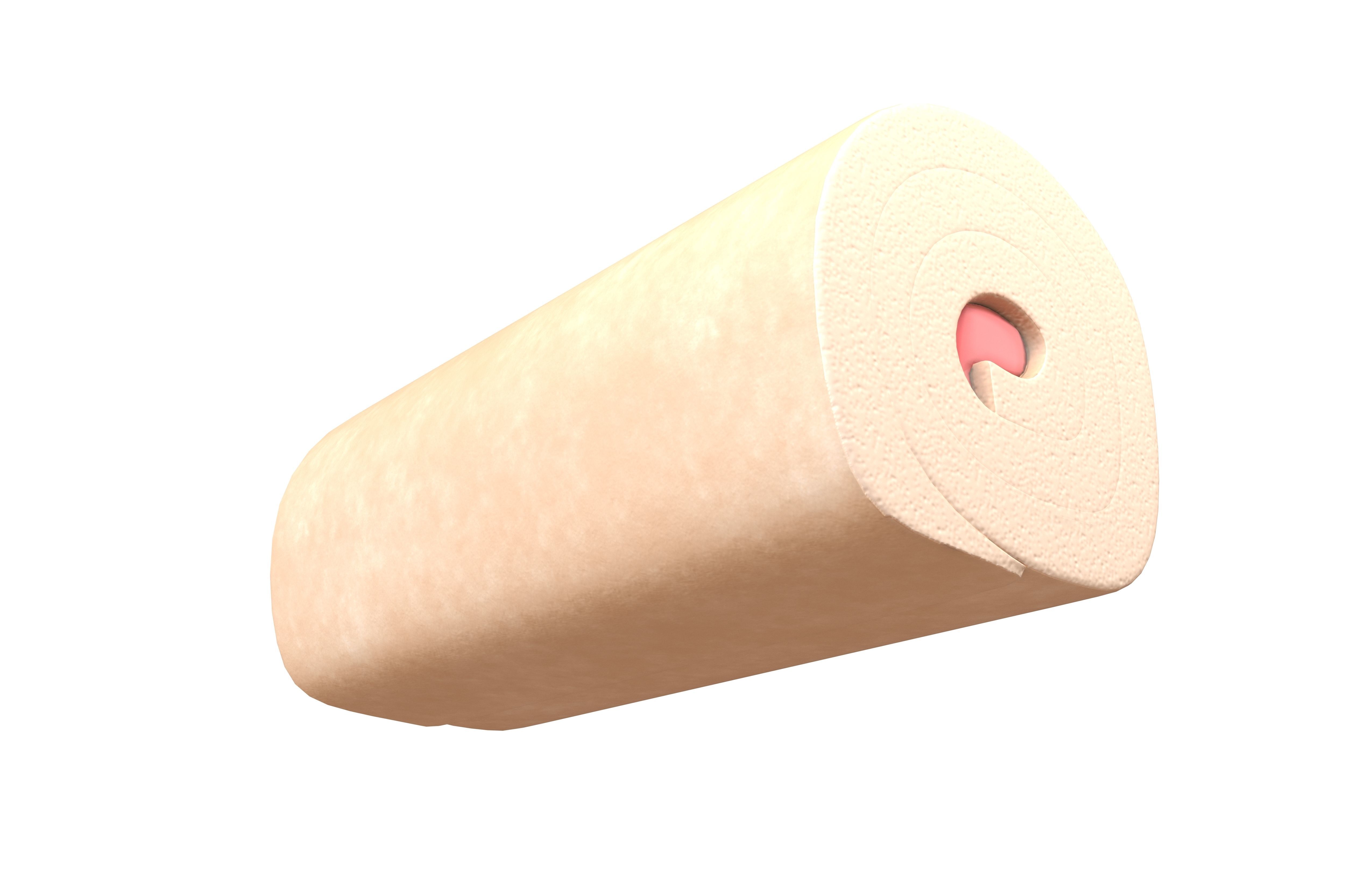 Swiss Roll v1 009 Low-poly 3D model_3