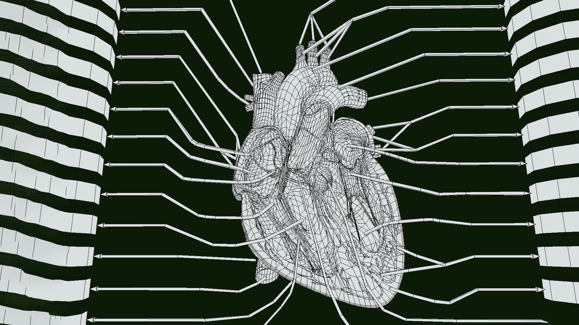 Human Heart Anatomy Labeled Low-poly 3D model_7