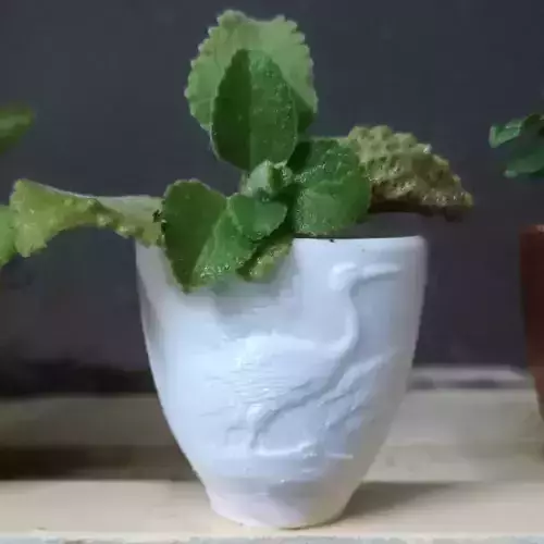 Crane Pendant and Badge Plant Pot