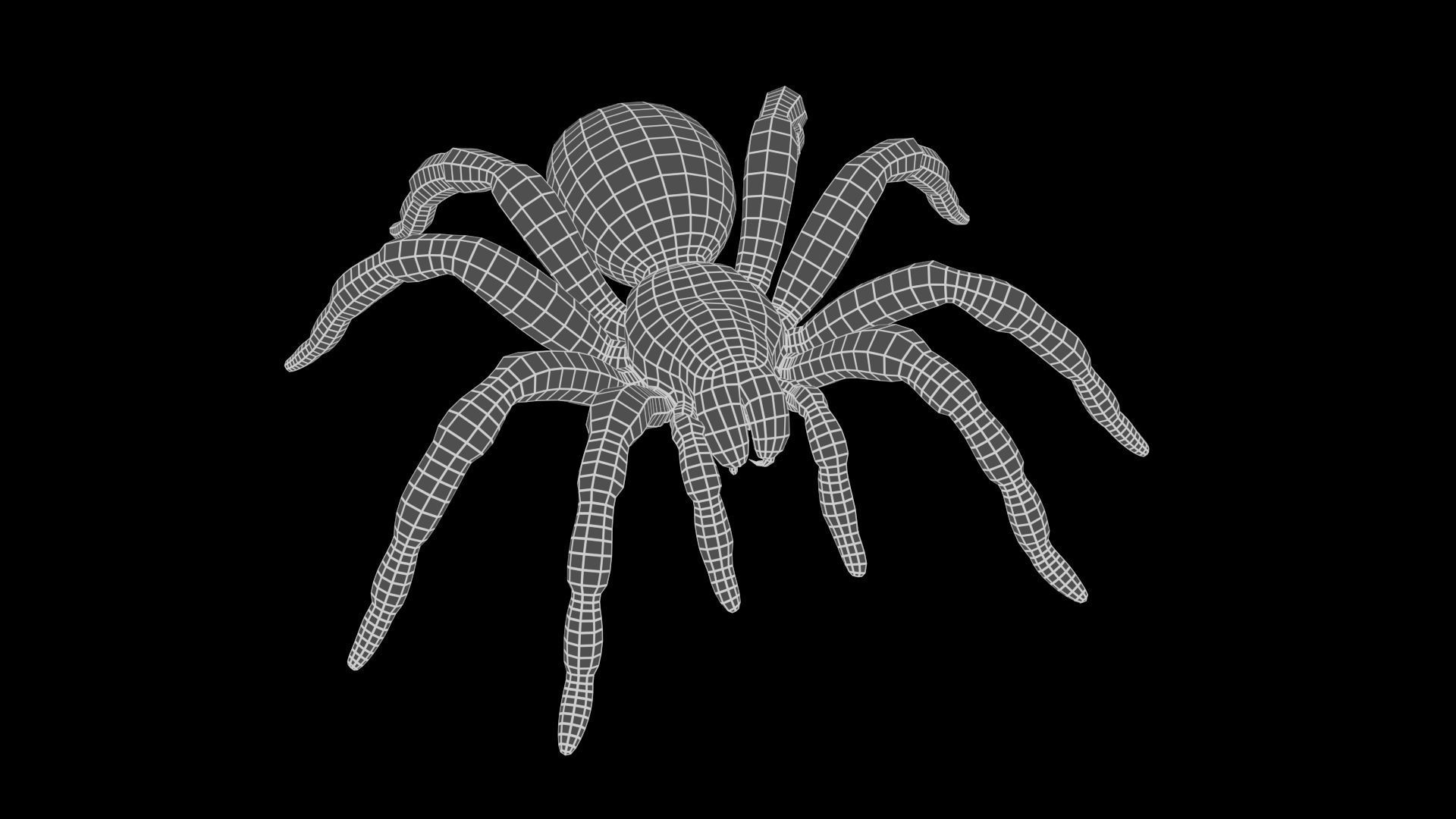 Tarantula Low-poly 3D model_17