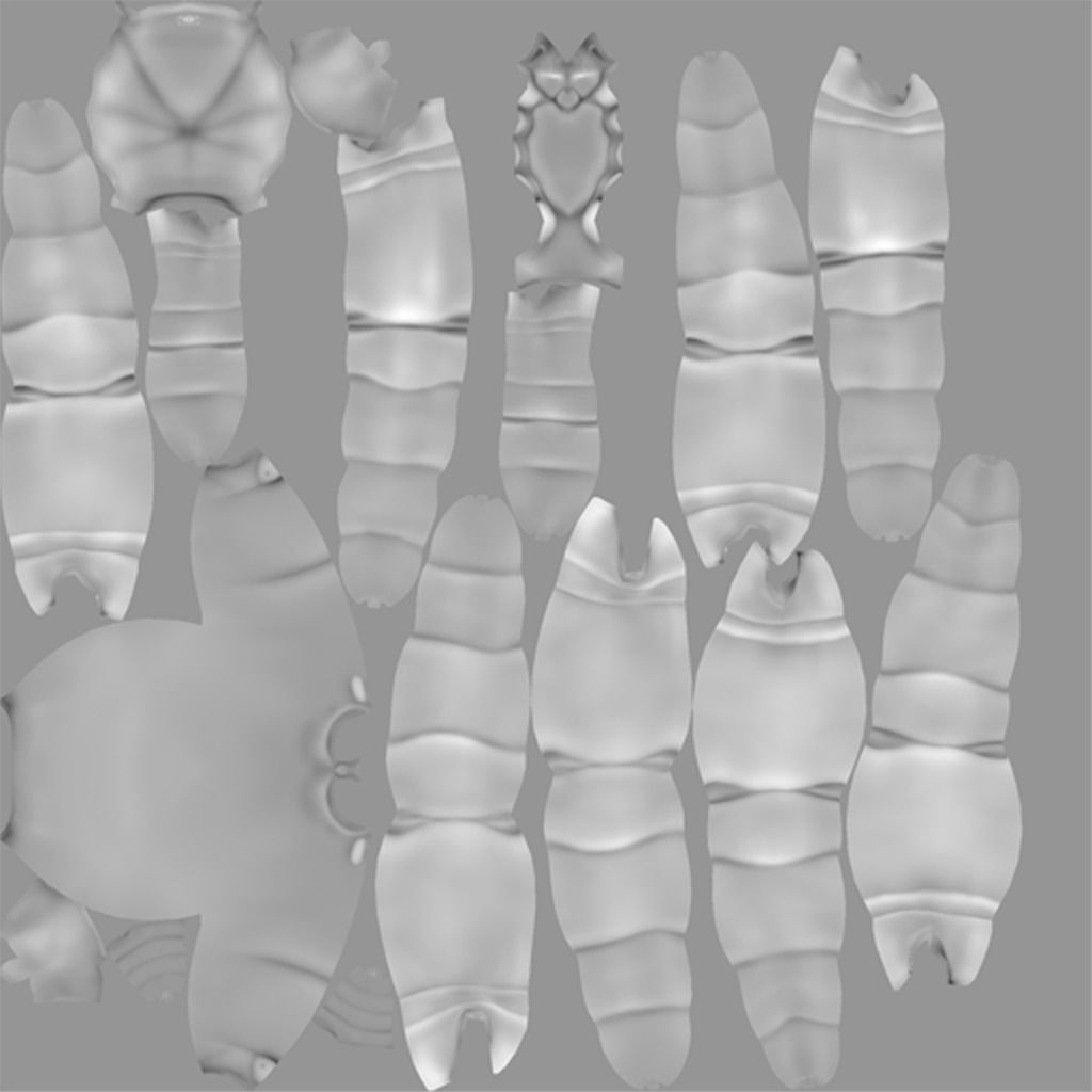 Tarantula Low-poly 3D model_21