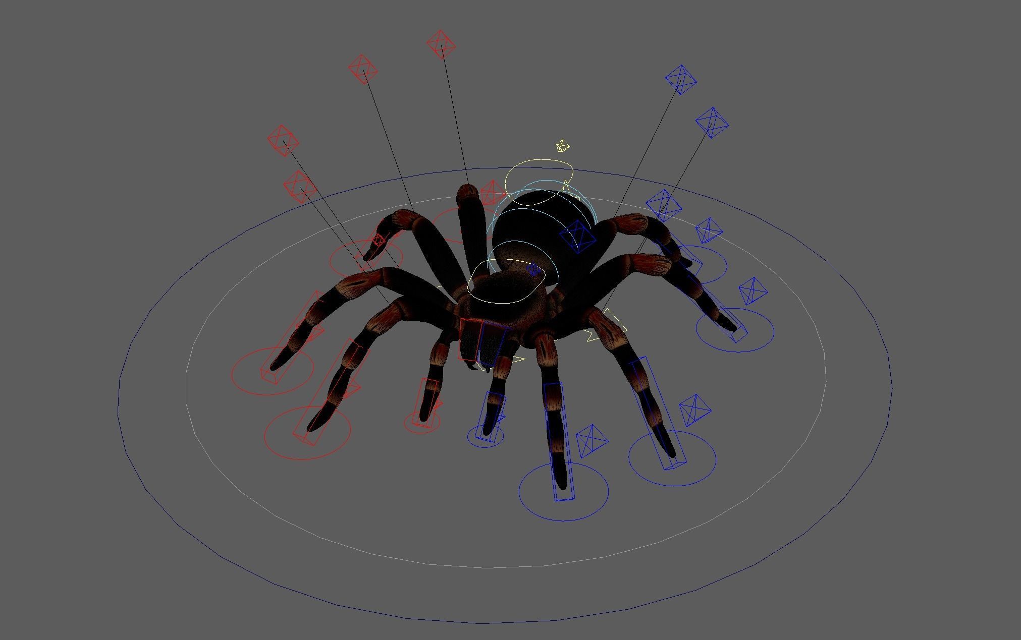 Tarantula Low-poly 3D model_16