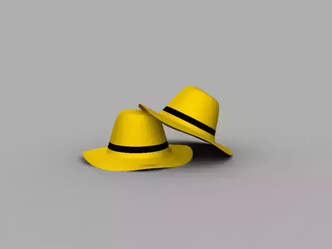 3d Cap Model two hats