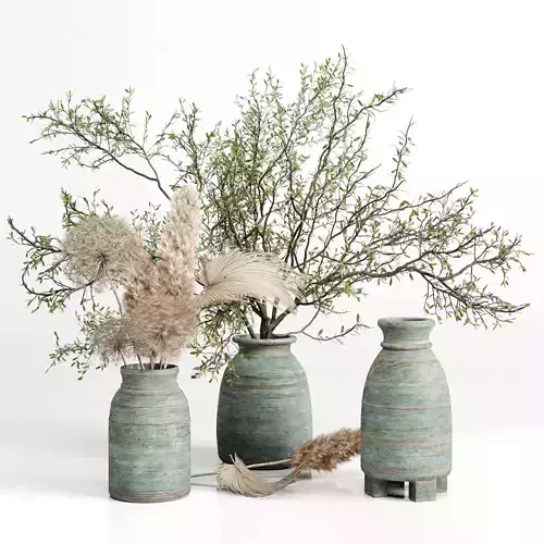 Bouquet plant pampas dry hogweed in a Indian wood