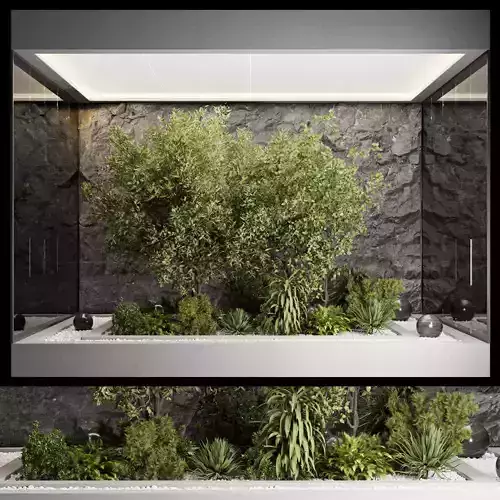 Plants Behind-Galss 06 - indoor plant garden set 436 Low-poly 3D model