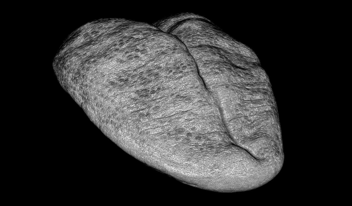 3D PRINTABLE MONSTER TONGUE 3 PACK 3D print model_29