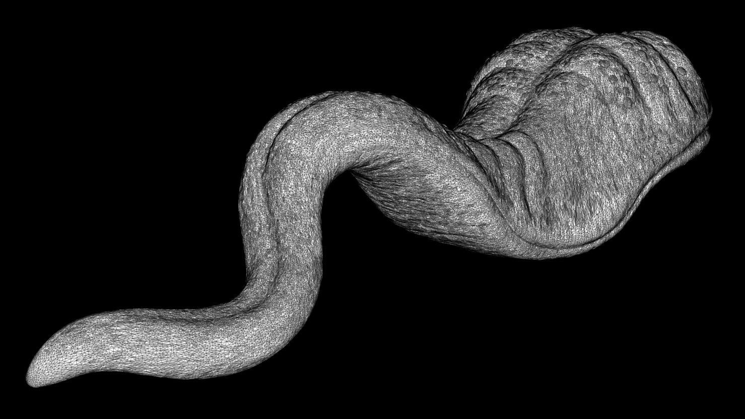 3D PRINTABLE MONSTER TONGUE 3 PACK 3D print model_13