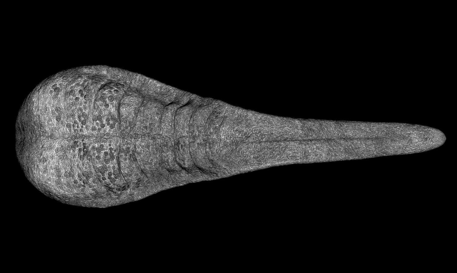 3D PRINTABLE MONSTER TONGUE 3 PACK 3D print model_21