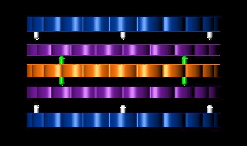 Carlex Wedding Band G3 CX3-0013RRW 6gm-US11-w8mm 3D print model_1