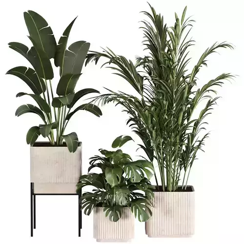 Indoor Plant Set 01