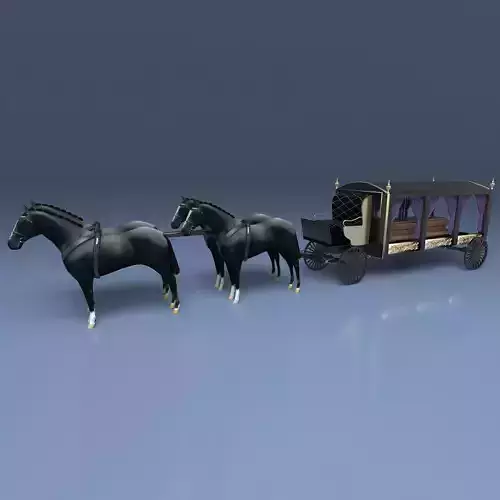 Funeral Carriage