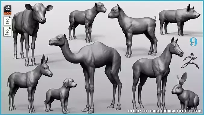 Domestic Baby animal collection 3D model