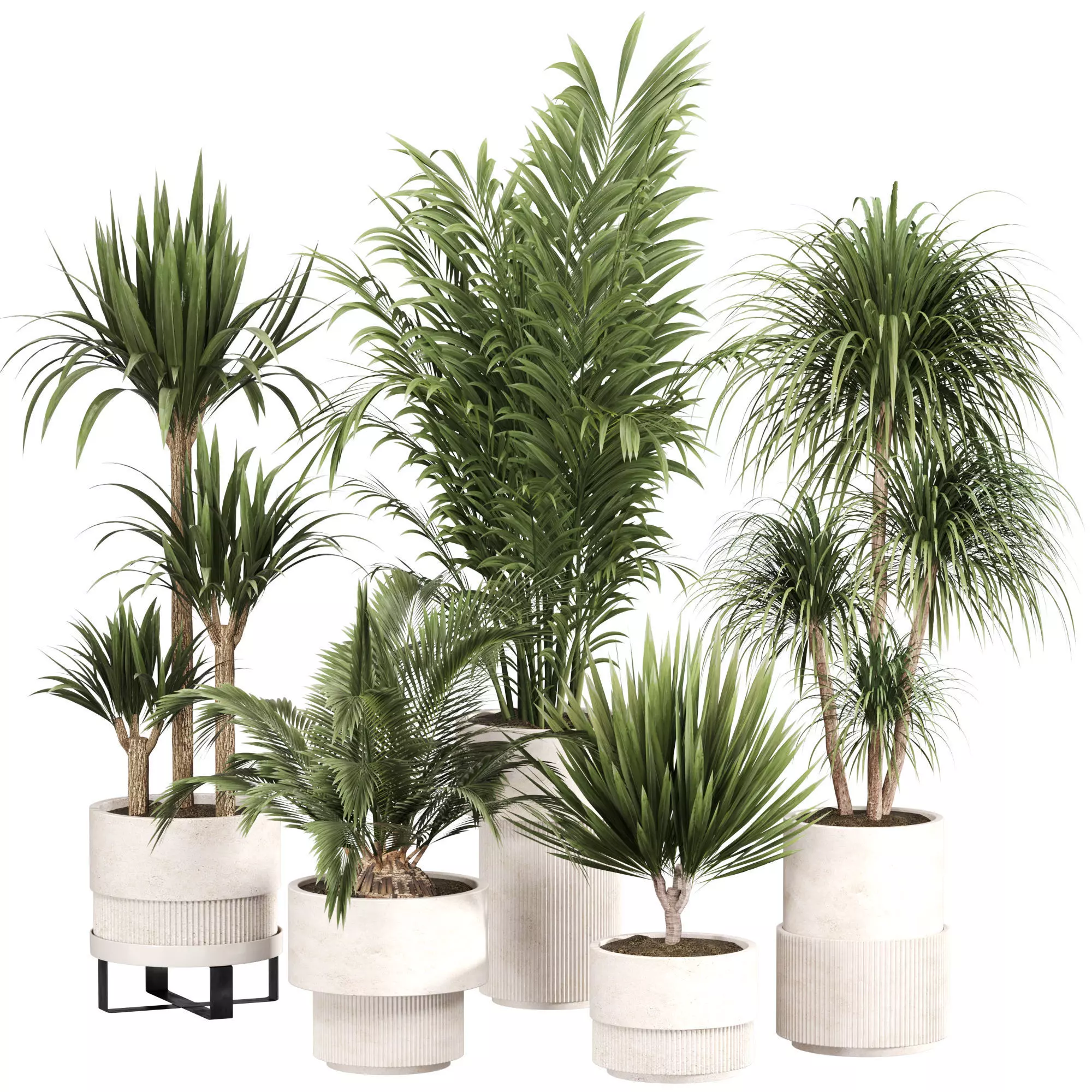 Indoor Plant Set 05 3D model_0