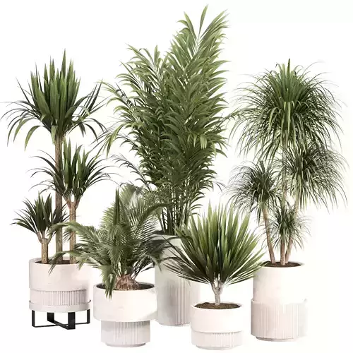 Indoor Plant Set 05