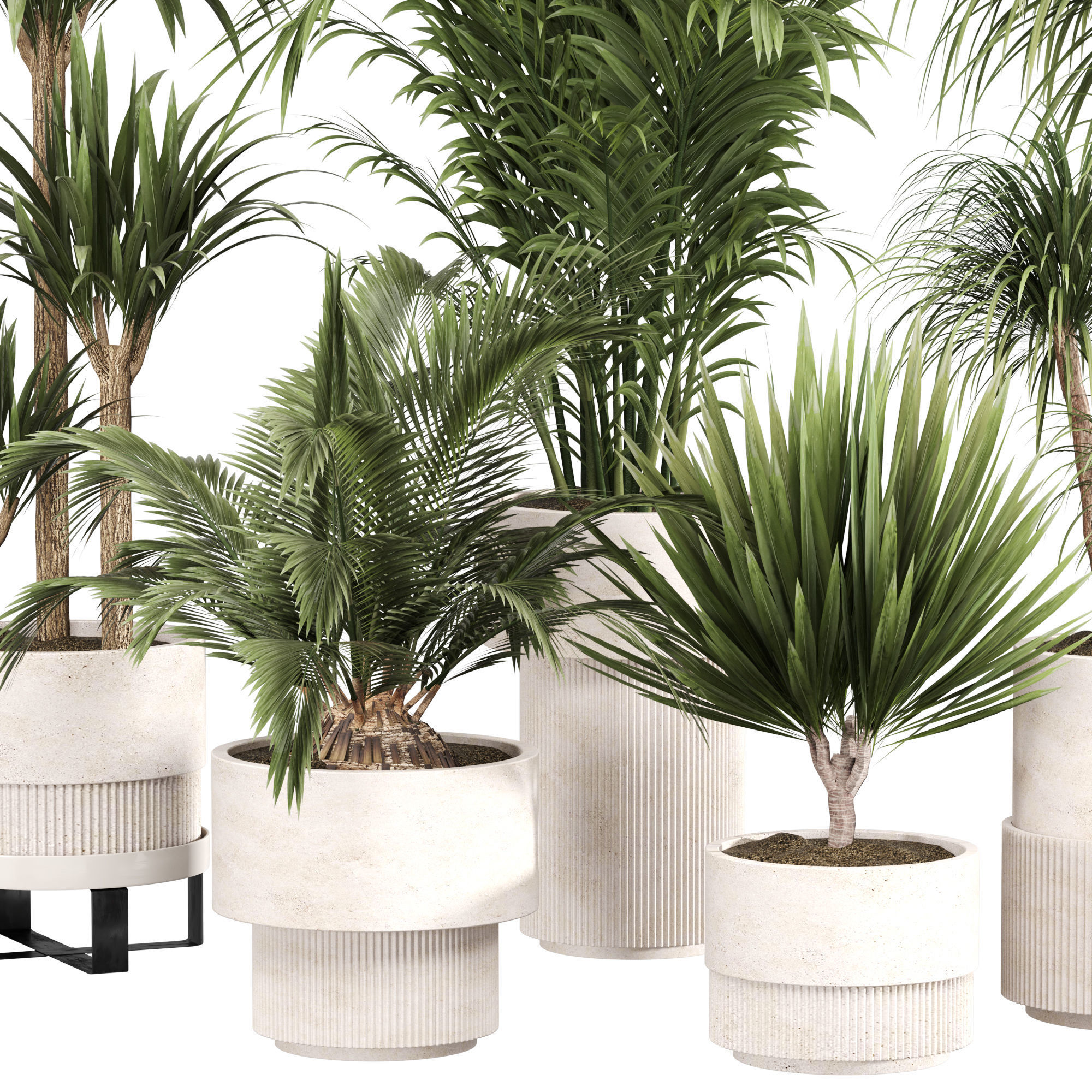 Indoor Plant Set 05 3D model_3