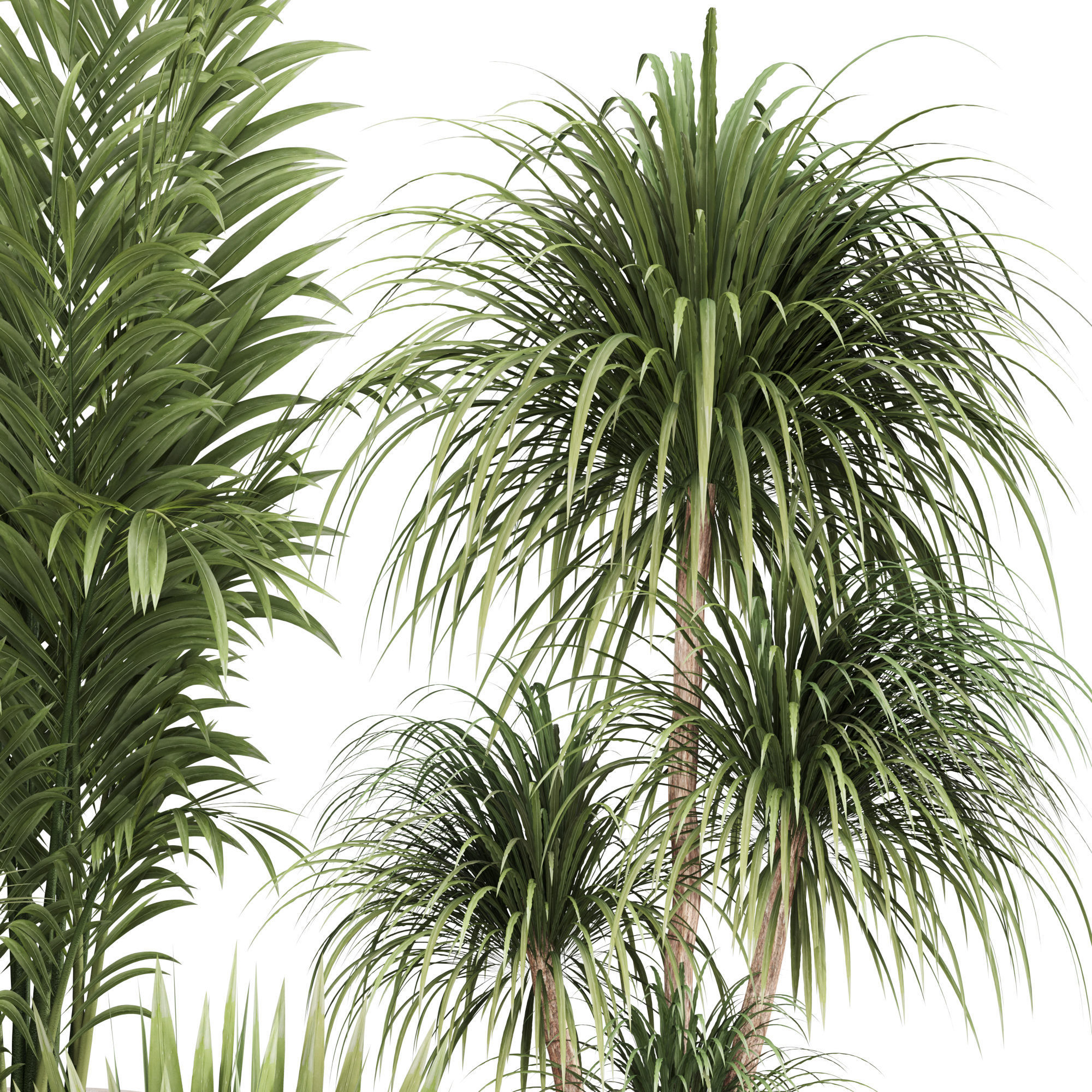 Indoor Plant Set 05 3D model_2