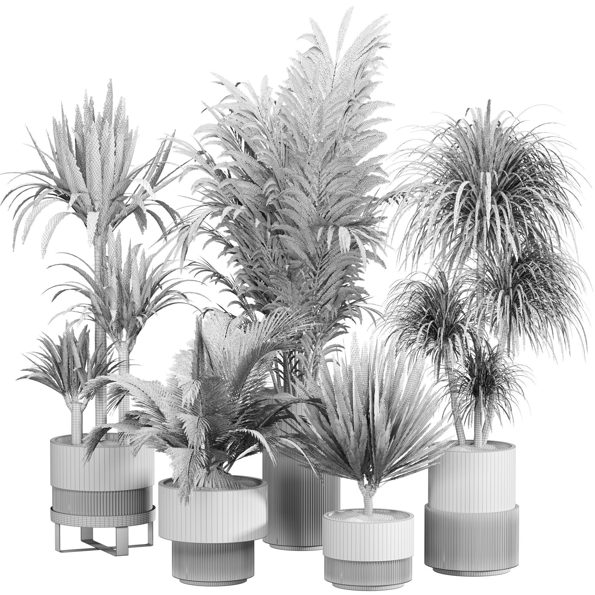 Indoor Plant Set 05 3D model_4