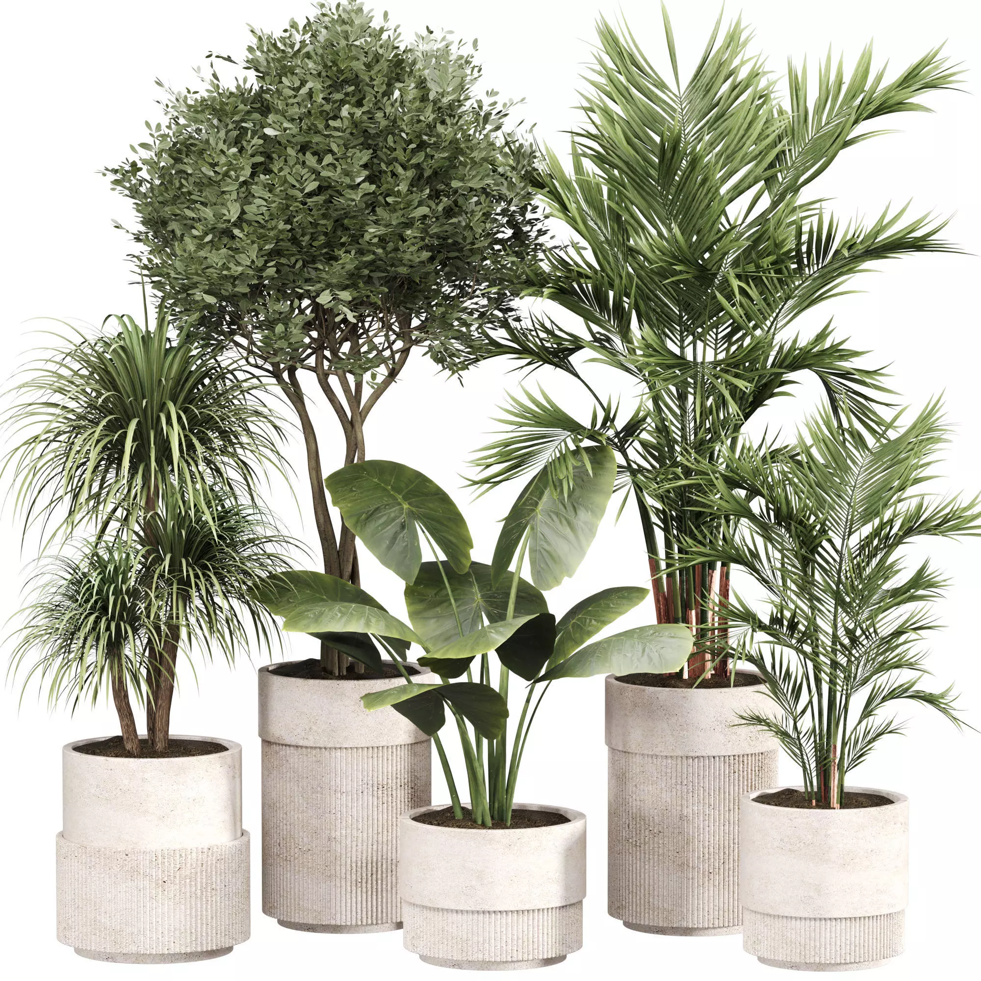 Indoor Plant Set 010 3D model_0