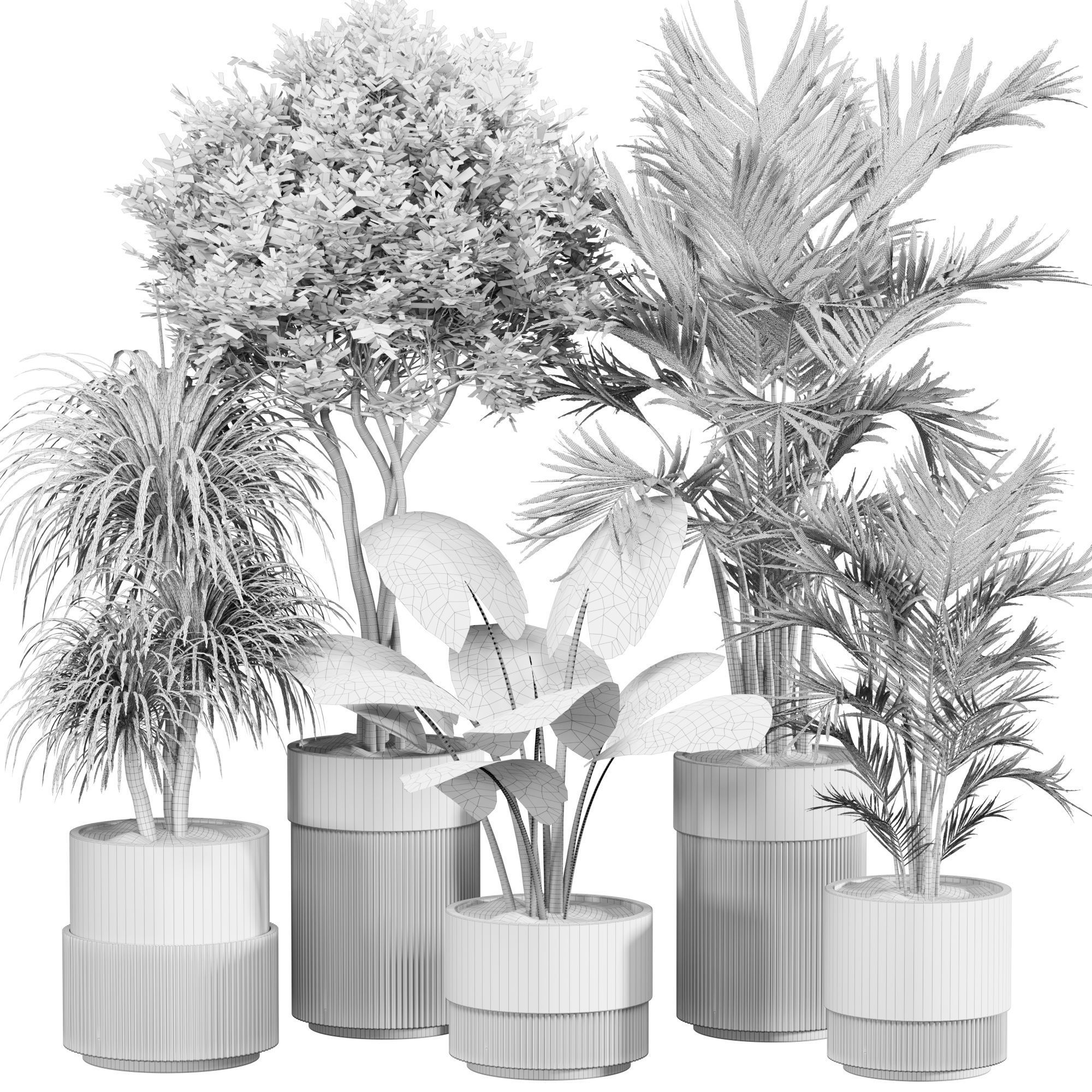 Indoor Plant Set 010 3D model_4