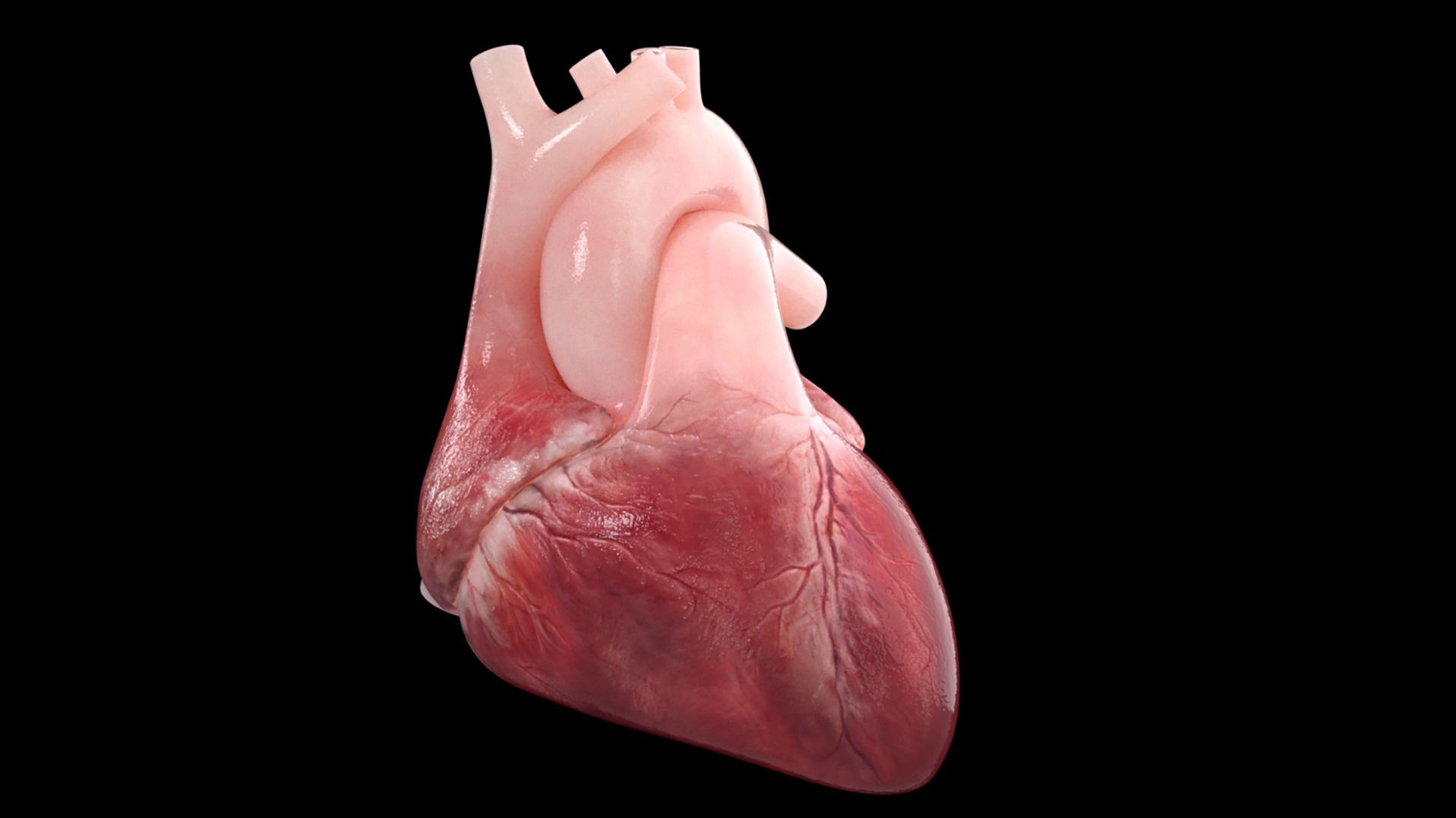 Heart Low-poly 3D model_1