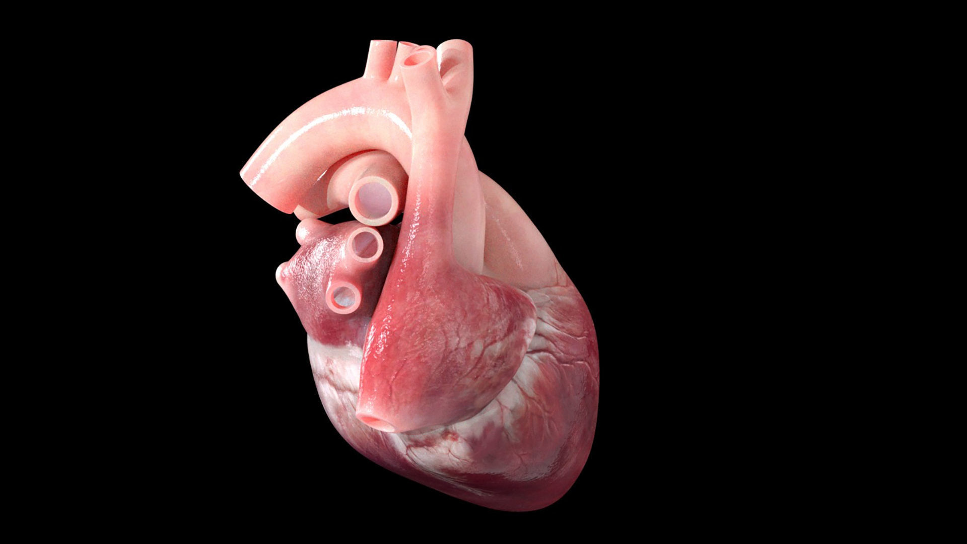 Heart Low-poly 3D model_4