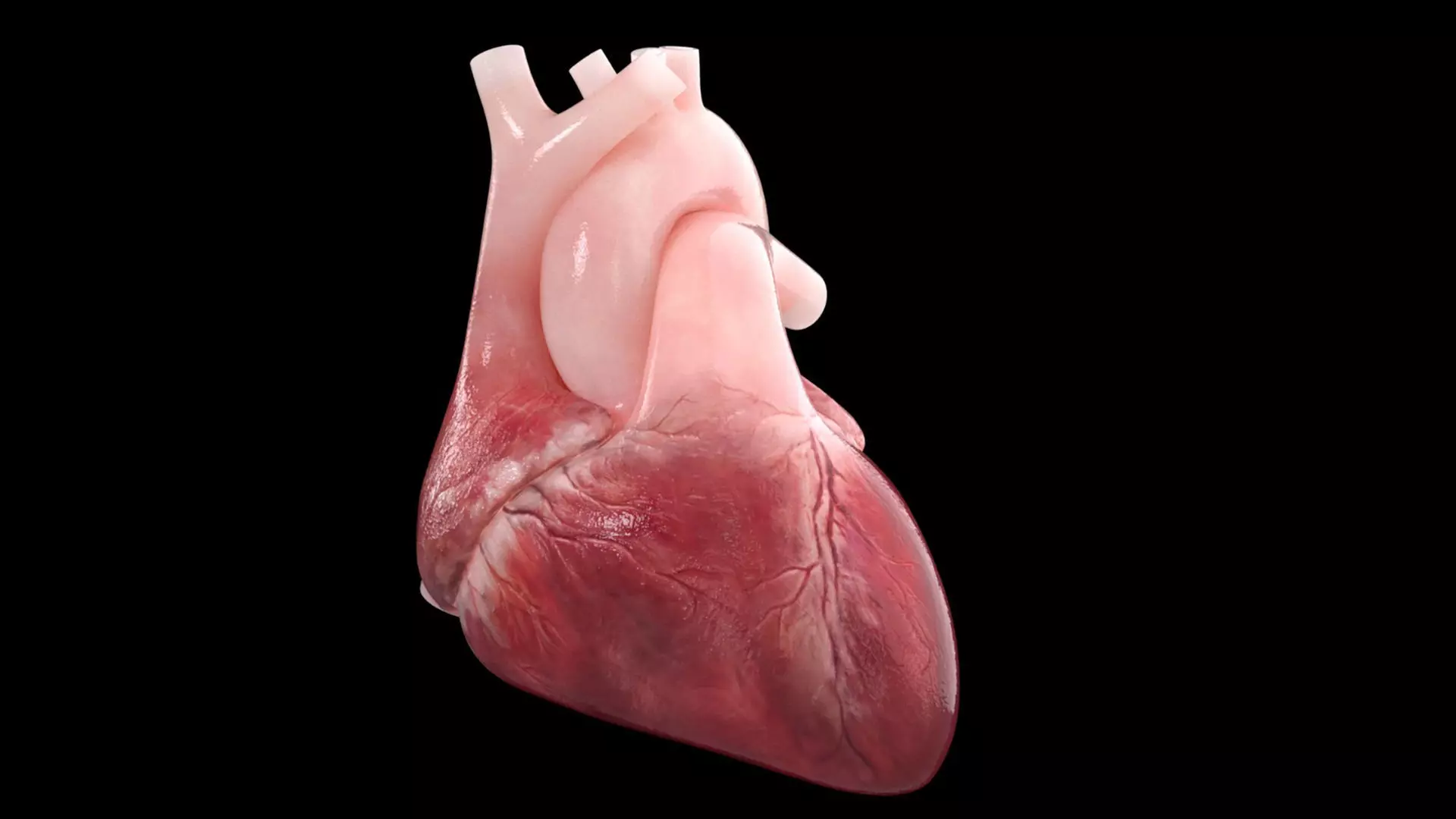 Heart Low-poly 3D model_0