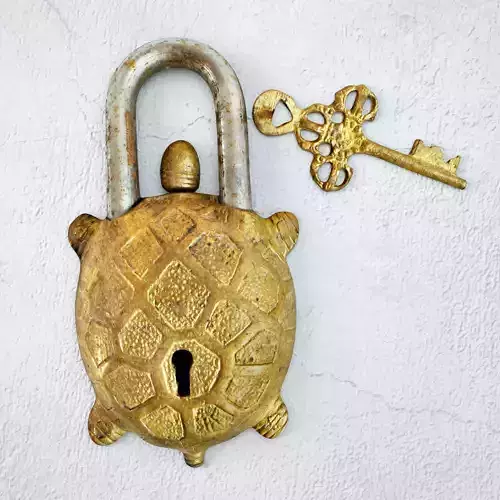 Vintage Brass India Turtle Lock