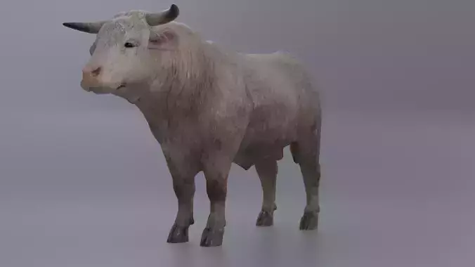 Rigged-Bull Low-poly 3D model