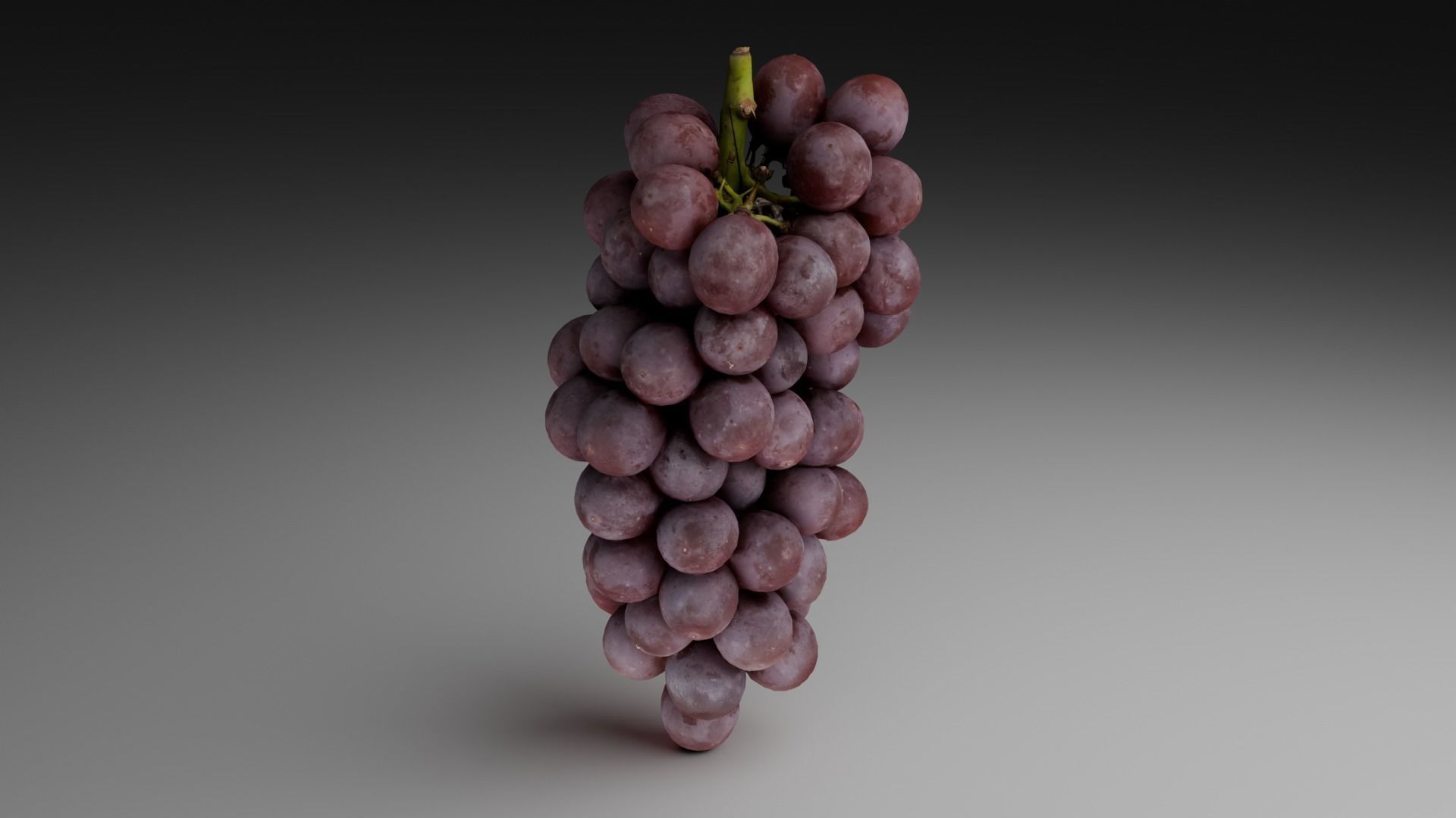 Grapes 3D model_22