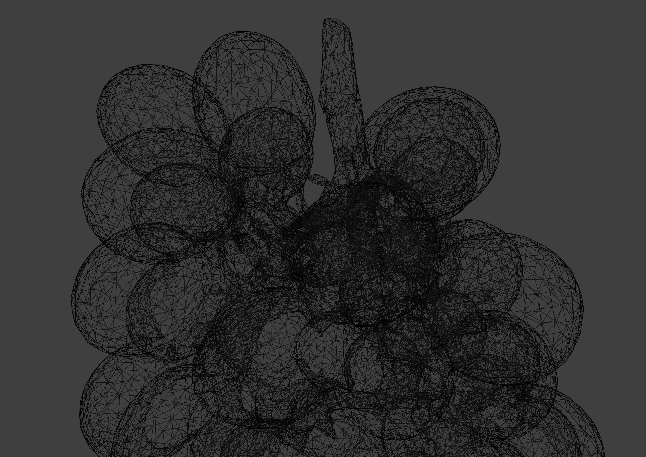 Grapes 3D model_38