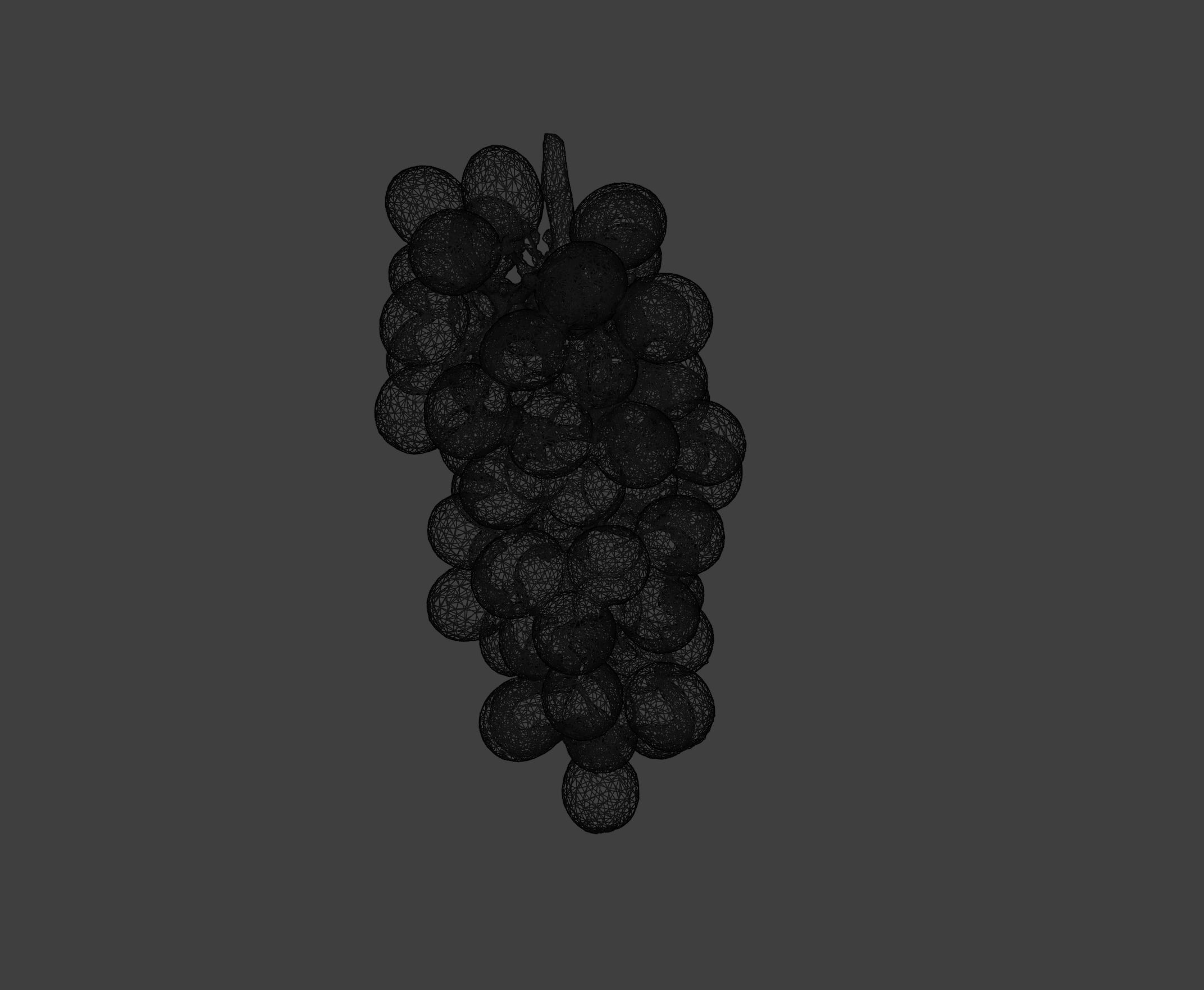 Grapes 3D model_37