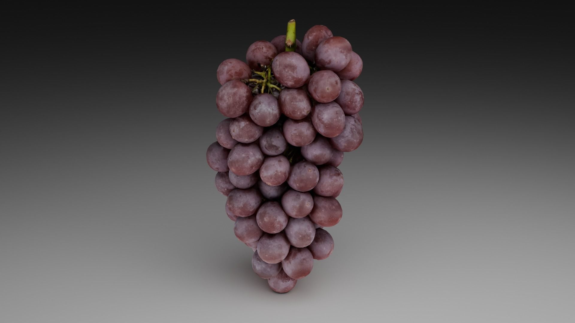 Grapes 3D model_28