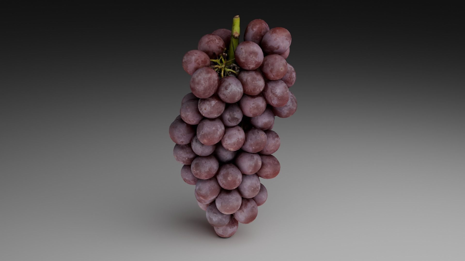 Grapes 3D model_26