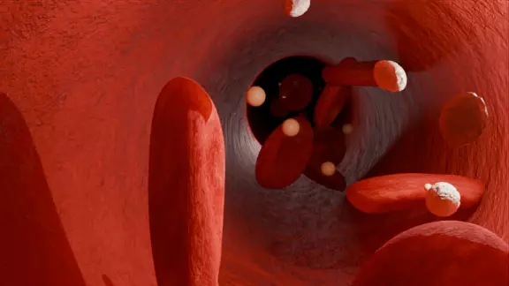 Blood cells inside vein 3D model