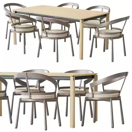 Turtle chair and laga table