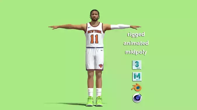 T-Pose Jalen Brunson New York Knicks NBA