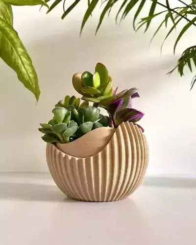 decorative succulent vase