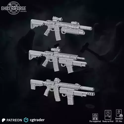 Pack RIFLES72 - 3 Items