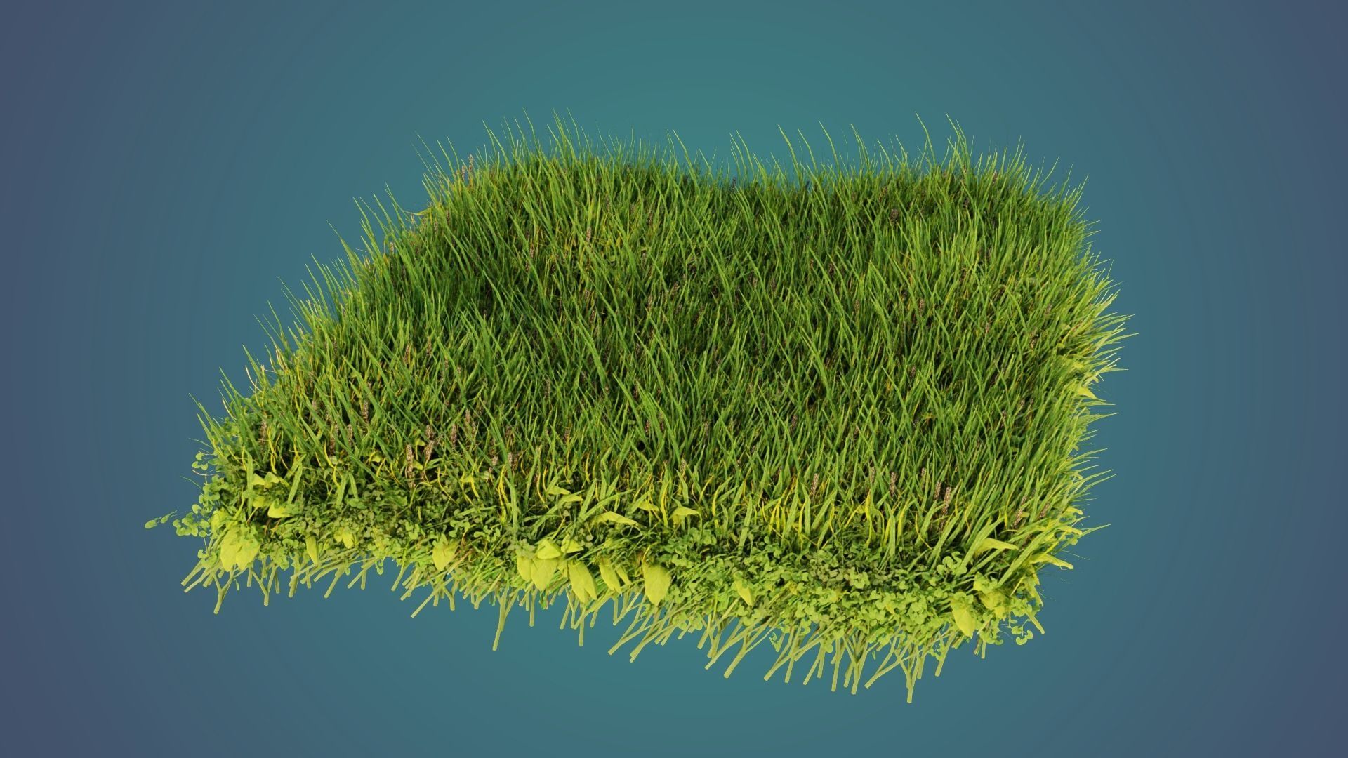 Blender 4 Grass and Flowers Meadow Procedural Geometry Node 3D model_3