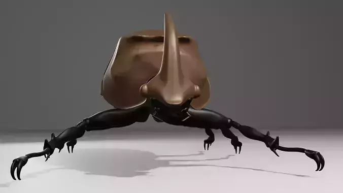 Escarabajo rinoceronte Japones