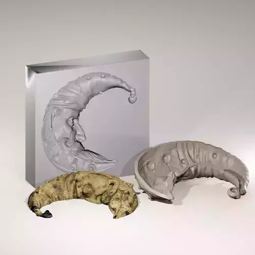 MOON SANTA COOKIE Mold 3D print model