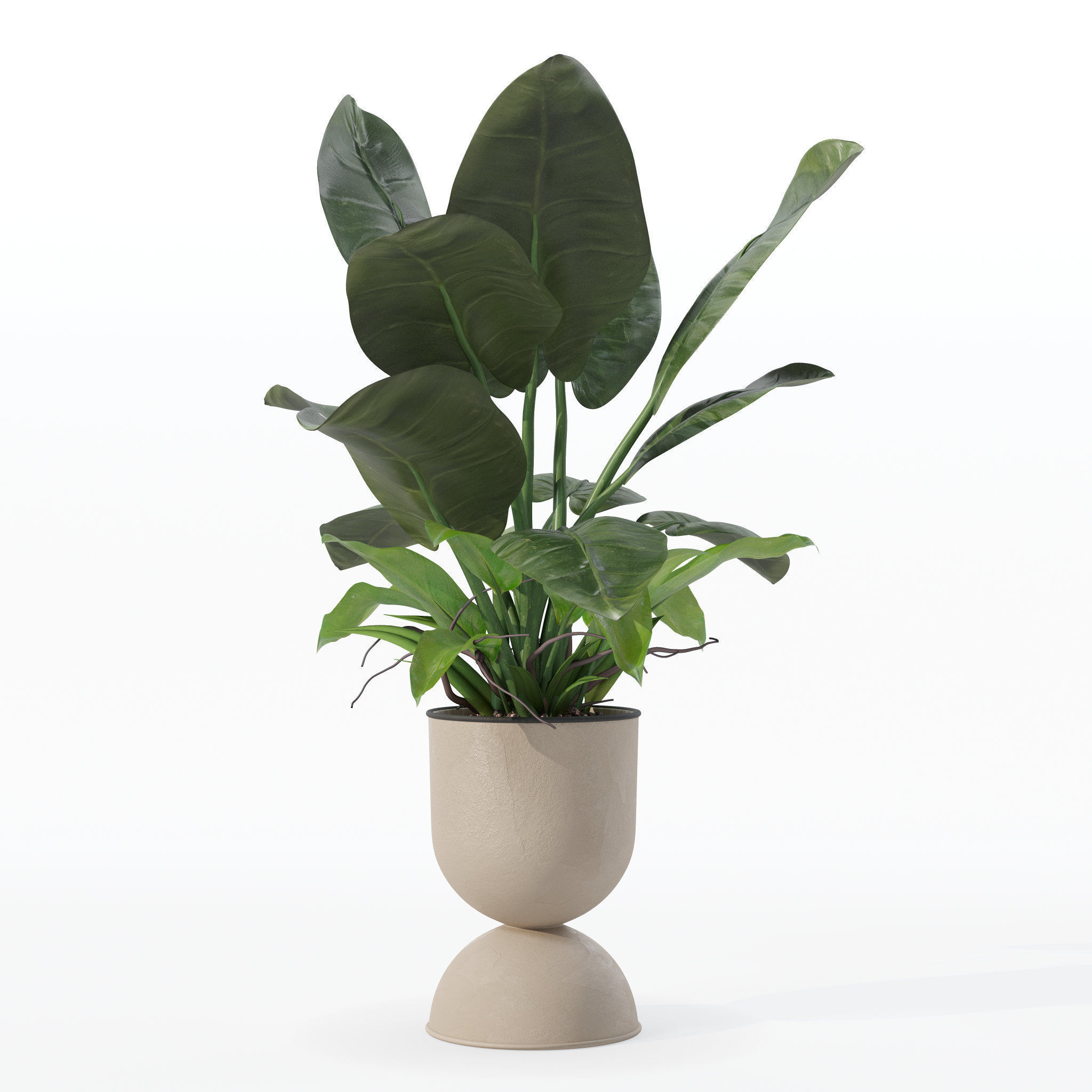 Philodendron imperial green in modern flowerpot 3D model_28