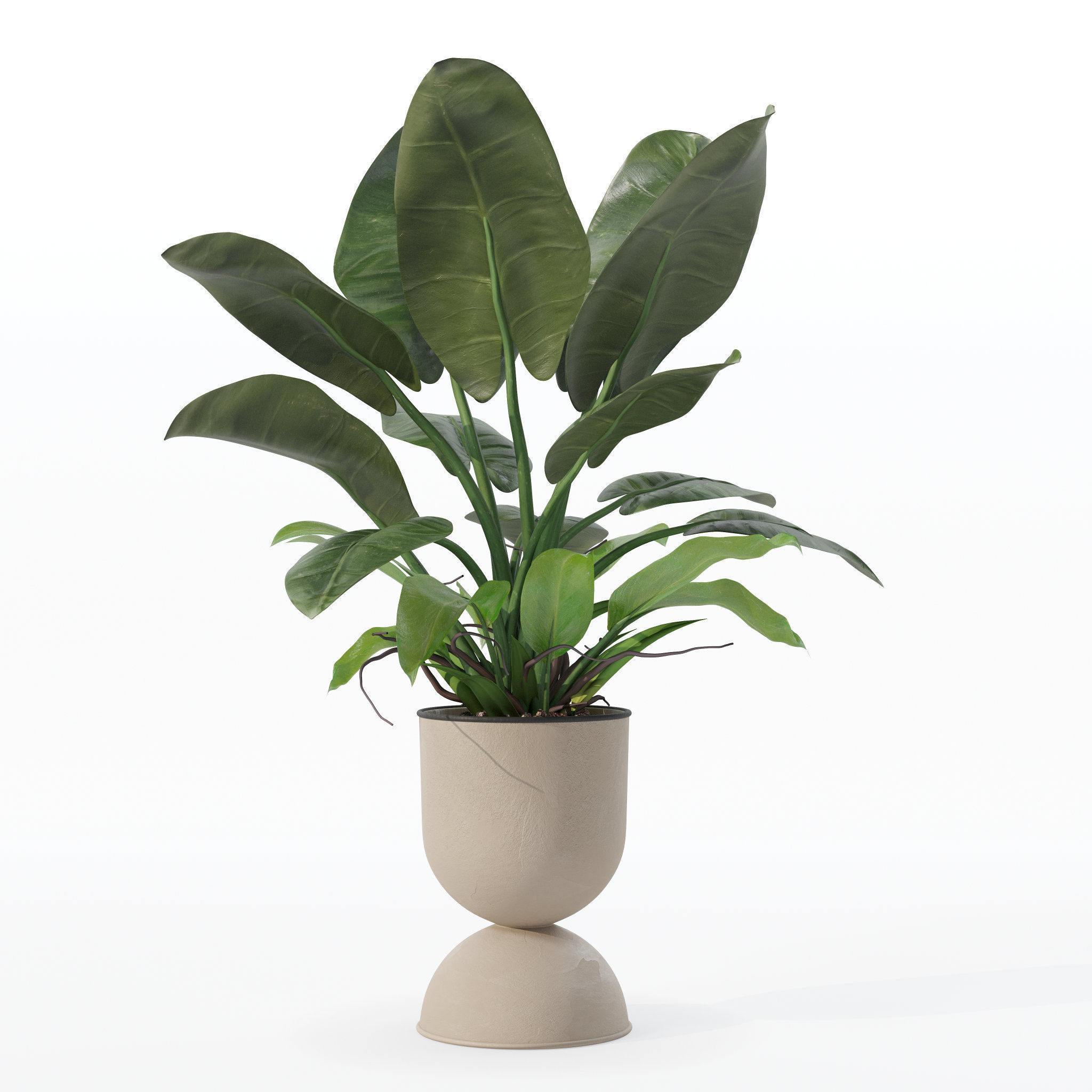 Philodendron imperial green in modern flowerpot 3D model_10