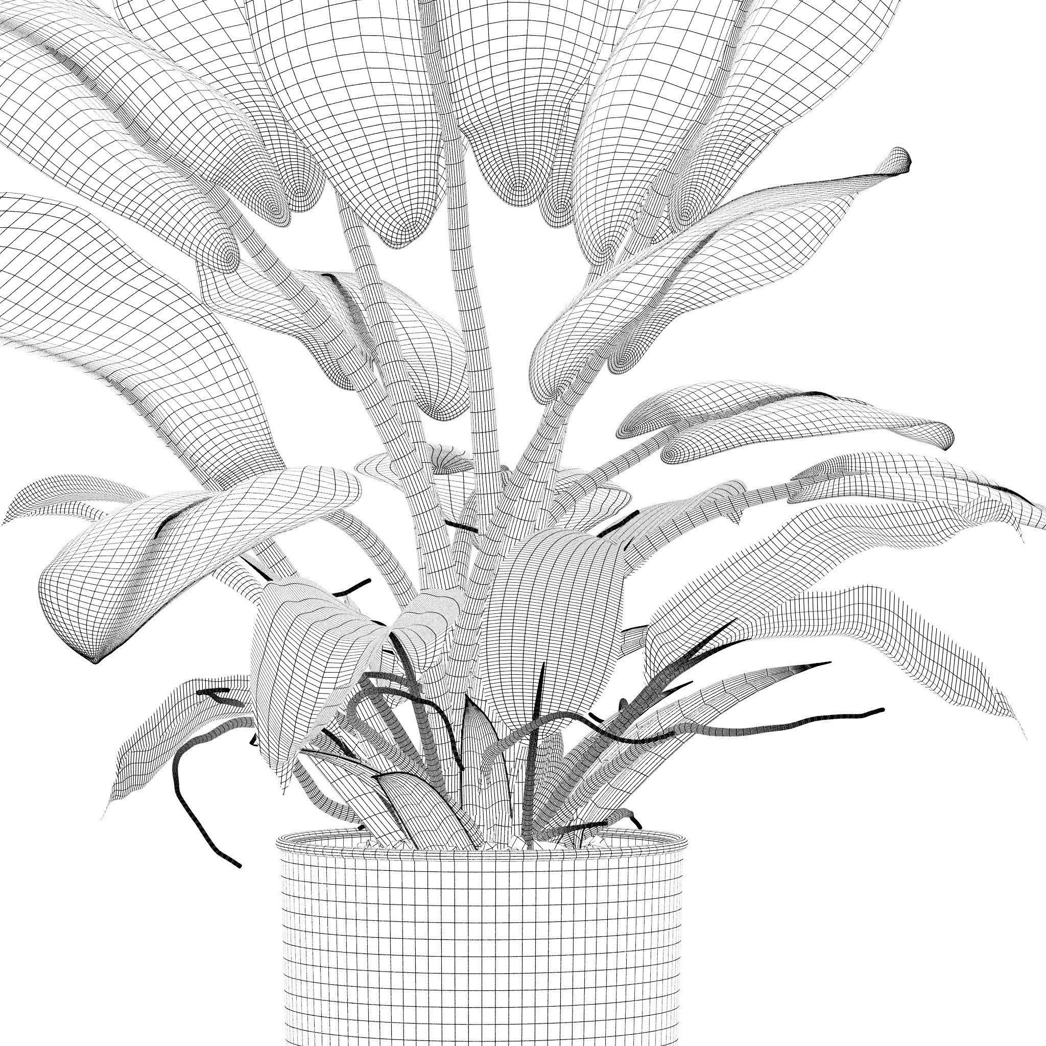 Philodendron imperial green in modern flowerpot 3D model_7